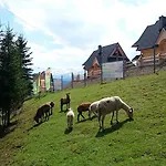 Skorusyna Couette-café *