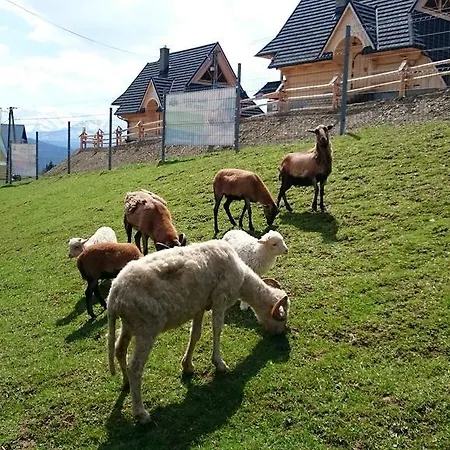 Skorusyna Bed & Breakfast *