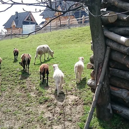 Skorusyna Bed & Breakfast *