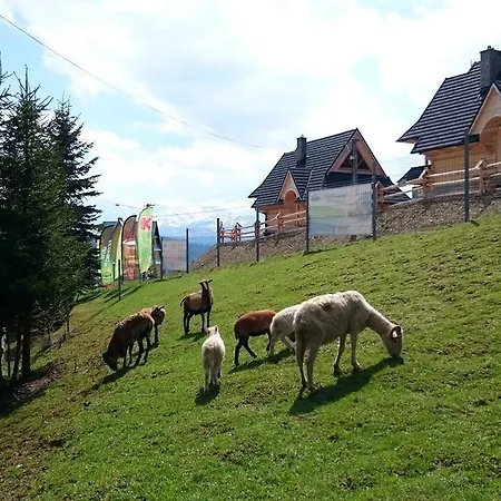 Skorusyna Bed & Breakfast *