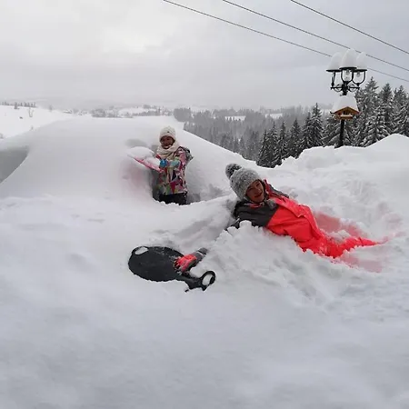 Bed & Breakfast Skorusyna *