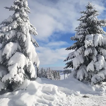 Bed & Breakfast Skorusyna Gliczarów