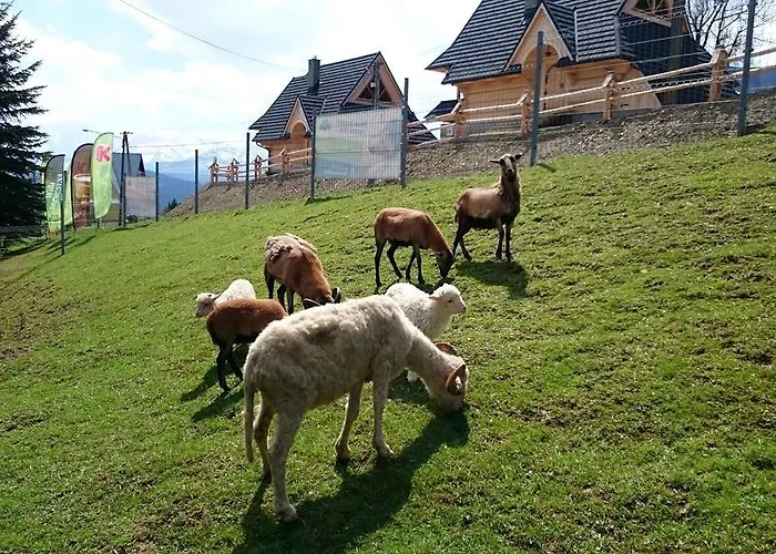 Skorusyna לינה וארוחת בוקר *