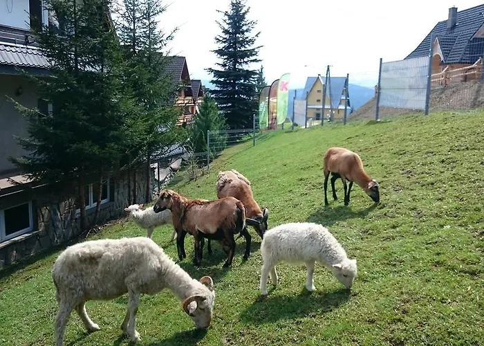 לינה וארוחת בוקר Skorusyna Gliczarów