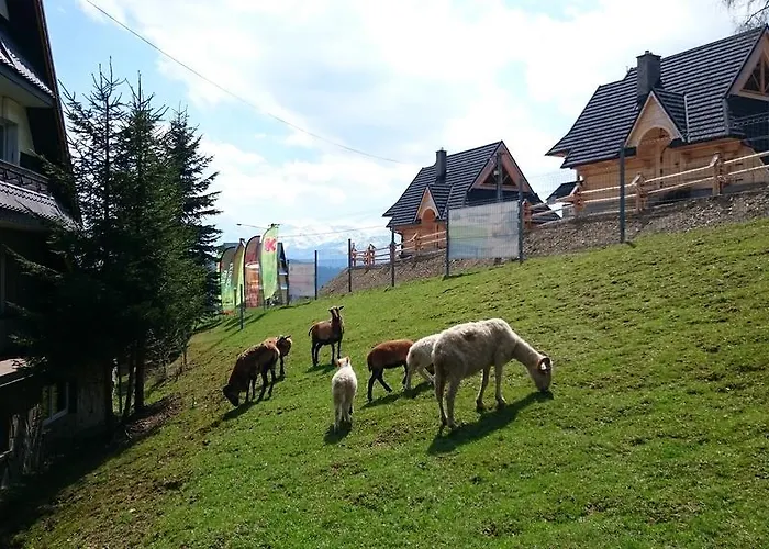 Skorusyna לינה וארוחת בוקר *