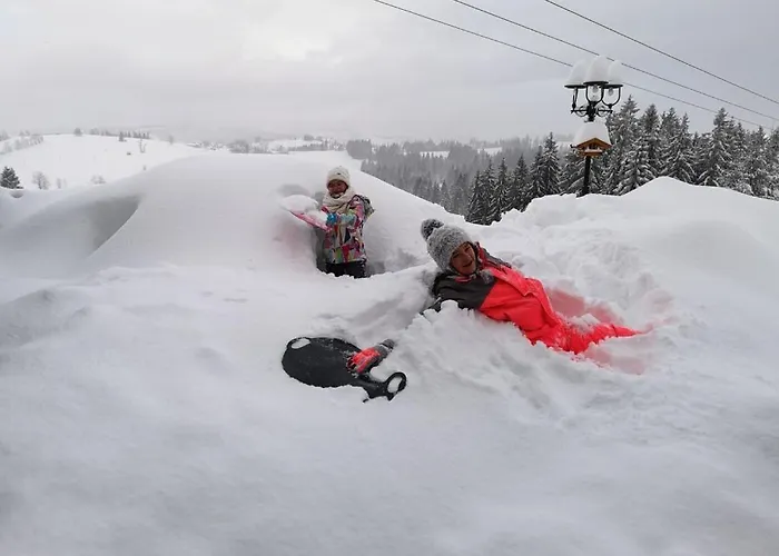 לינה וארוחת בוקר Skorusyna *
