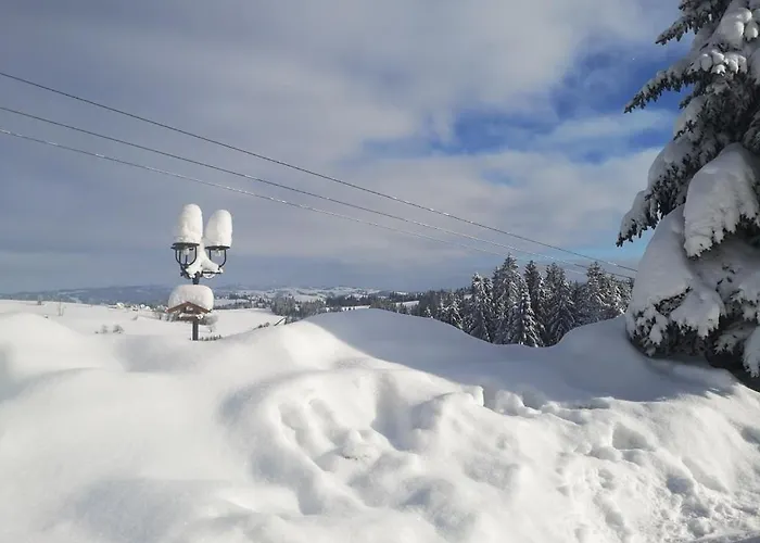 Skorusyna לינה וארוחת בוקר *