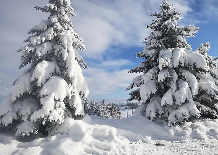 לינה וארוחת בוקר Skorusyna Gliczarów